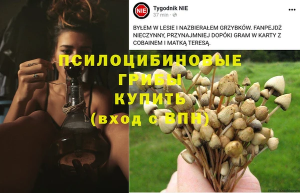 гашиш Карпинск